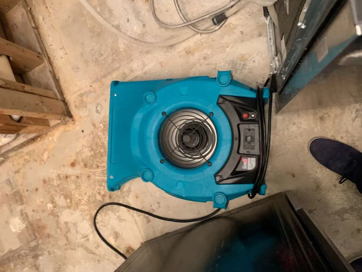 Air mover drying equipment for Mold Remediation & Removal in Fort Meade